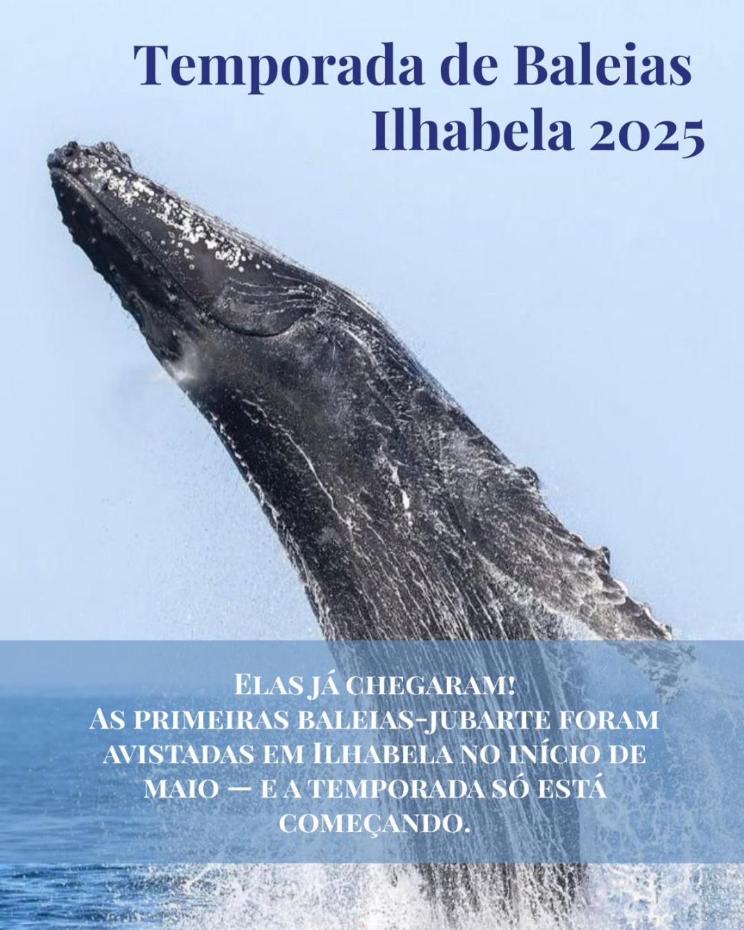Vila Bambu Ilhabela, Santa Tereza Luaran gambar